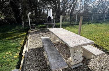 Appartement avec cour 4 - Photo 2