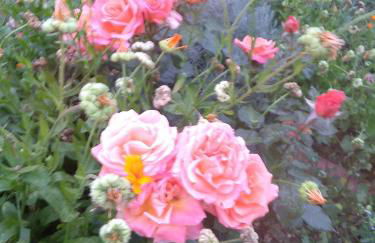 Charmant Horizon - Foto 24