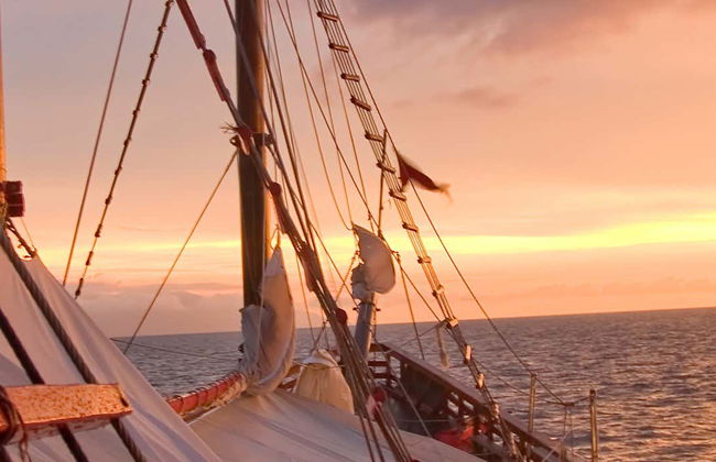 Giro in nave pirata a Puerto Vallarta - Foto 6