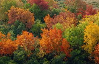 Rapsani Panorama Villa - Photo 79