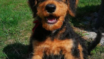 Ferienwohnung Kühl - Foto 4