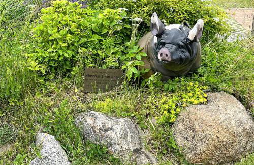 Farmstay Neuendorfkrug, Lütow - Foto 35