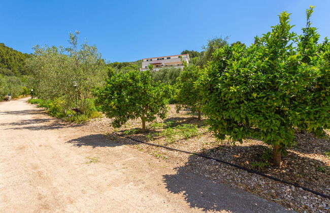 Villa Tavaglione - Foto 16