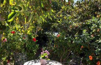 Home2Book Charming Cottage Juanita Among Avocados - Foto 28