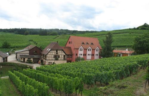 Studio chez le vigneron - Foto 10