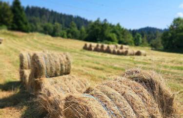 Apartman Barbara - Foto 18