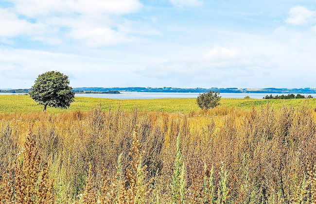 Contemporary Apartment in Faaborg near Sea - Foto 6