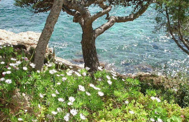 Apartamento Calafate 4 - Foto 23