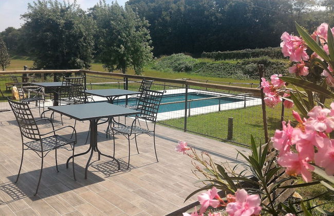 Le Vigne di Adamo - Photo 11