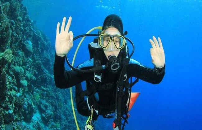 Experiencia de Buceo en Rodas - desde el Norte de Rodas - Foto 6