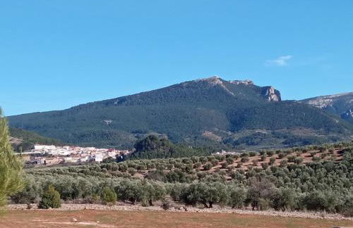 Casa Pinos - Foto 45