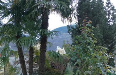 Casa Elena - Foto 14