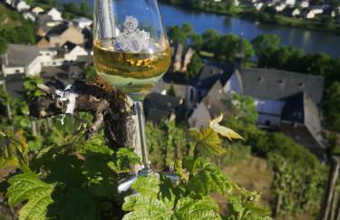 Ferienhaus zur Weinfee - Foto 44