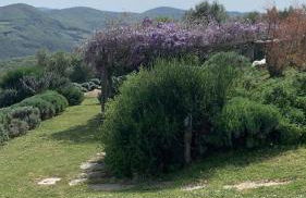 La Locanda Volpaia - Foto 6