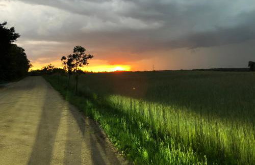 Drewniany Domek z Bali nad Bugiem - Foto 16