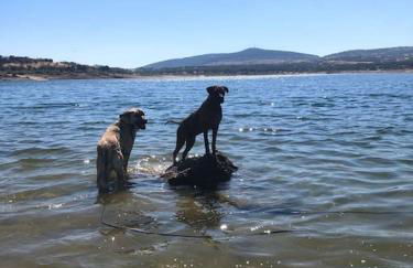 Via Fera, con vistas a la naturaleza - Foto 48