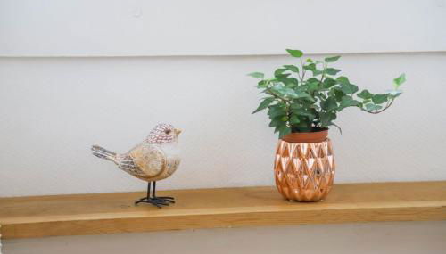 Le Sommeiller - hyper centre avec garage - Foto 5