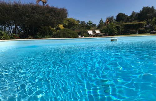 Casal das Oliveiras - Foto 10