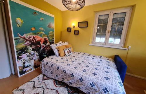 Les Chouchous du Ried 1 - Foto 6