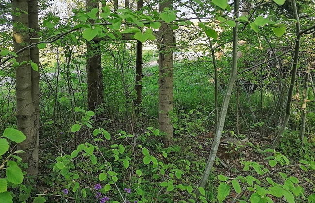 5 Person Holiday Home - Photo 17