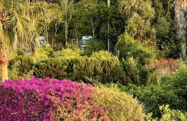 Beachfront, First line, 2-Bdr,2-Bath, Swiming Pool - Photo 12