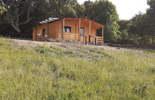 Eco Lodge nella natura Con Piscina privata "La Grande Quercia" - Foto 41