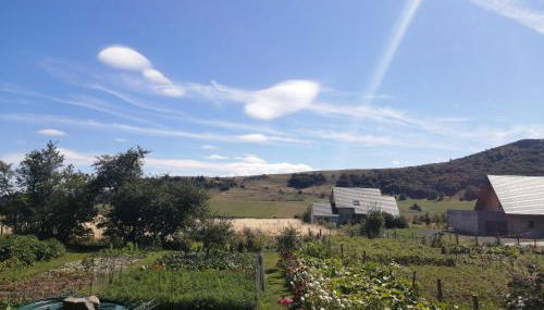 L'auvergnate - Foto 5