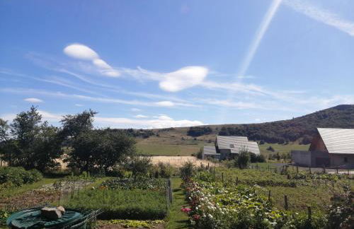 L'auvergnate - Foto 5