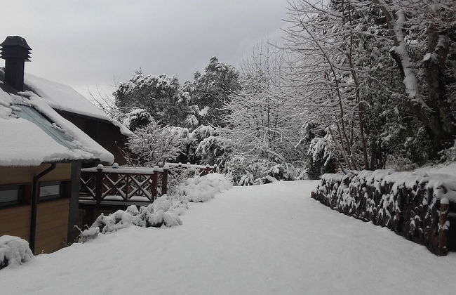 Lilen Apart - Photo 35