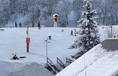 Saint-Sorlin D'Arves pied des pistes 310km de pistes tous niveaux - Photo 48