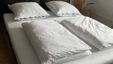 Tor zum Pfälzerwald - Foto 2