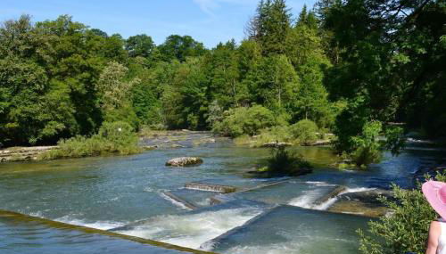 Au Coeur du Jura, Logement au calme - Foto 3