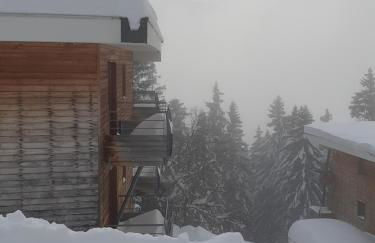 Silènes B33 à Chamrousse 1700 aux Domaines de l'Arselle - Foto 8