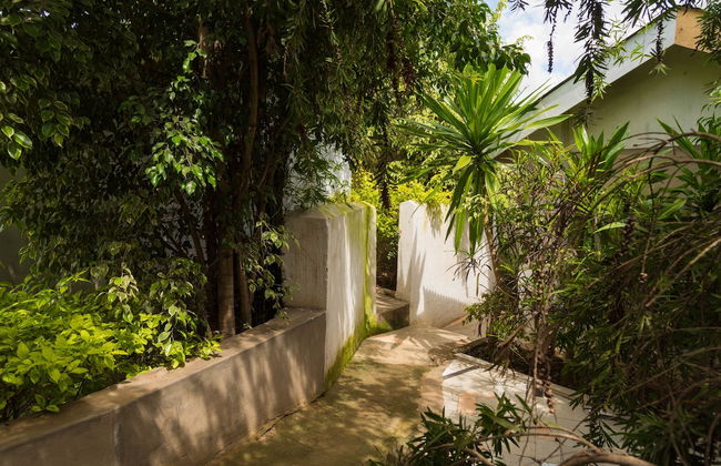 Spendwise Lodge and Apartments - Foto 64