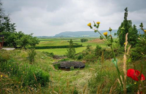 Lyth Valley View at Broom Bank - Foto 19