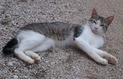 Borgo Buciardella - Foto 17