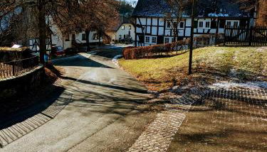 Blick ins Grüne - Foto 4