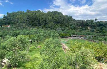 homonatura. sense of native living. - Foto 20