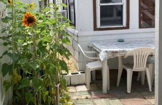 BEACH COTTAGE 2nd HOUSE FROM BEACH - Foto 25