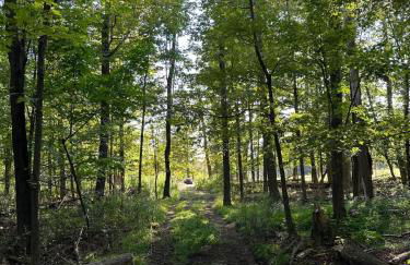 Rutland Hill Farmhouse - Foto 47