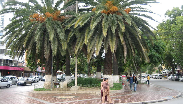 Cochabamba City Tour - Photo 3