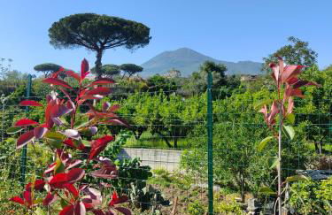 Villa Cola - Vesuvio Garden & Relax - Foto 6