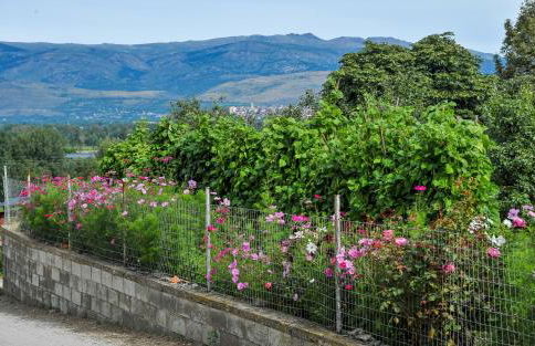 Cal Pascual Turisme Rural - Foto 44