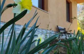 SMARAGD RIVER near Rastoke & Plitvice Lakes - Foto 55