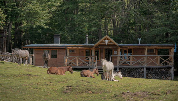 Passeio de cavalo pelo lago Escondido - Photo 2, Os cavalos no refúgio do lago Escondido