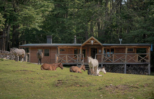 Passeio de cavalo pelo lago Escondido - Photo 2