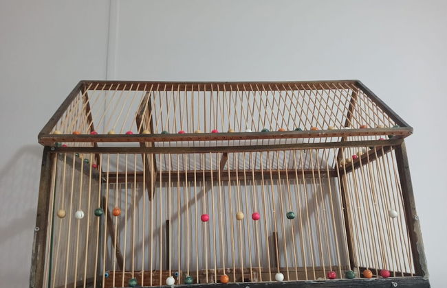 Palamut Ev - Photo 9