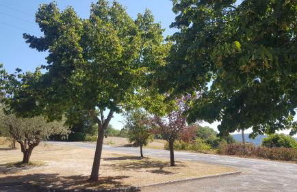 VILLA DUE TIGLI - Foto 66