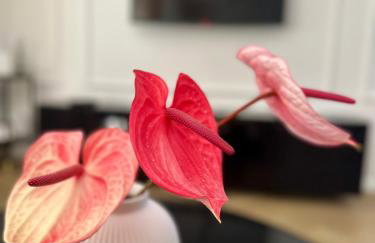 MIO Apartament Sosnowiec - Foto 19