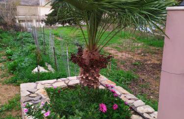 Creta guesthouse ARXONTIKO! - Foto 31